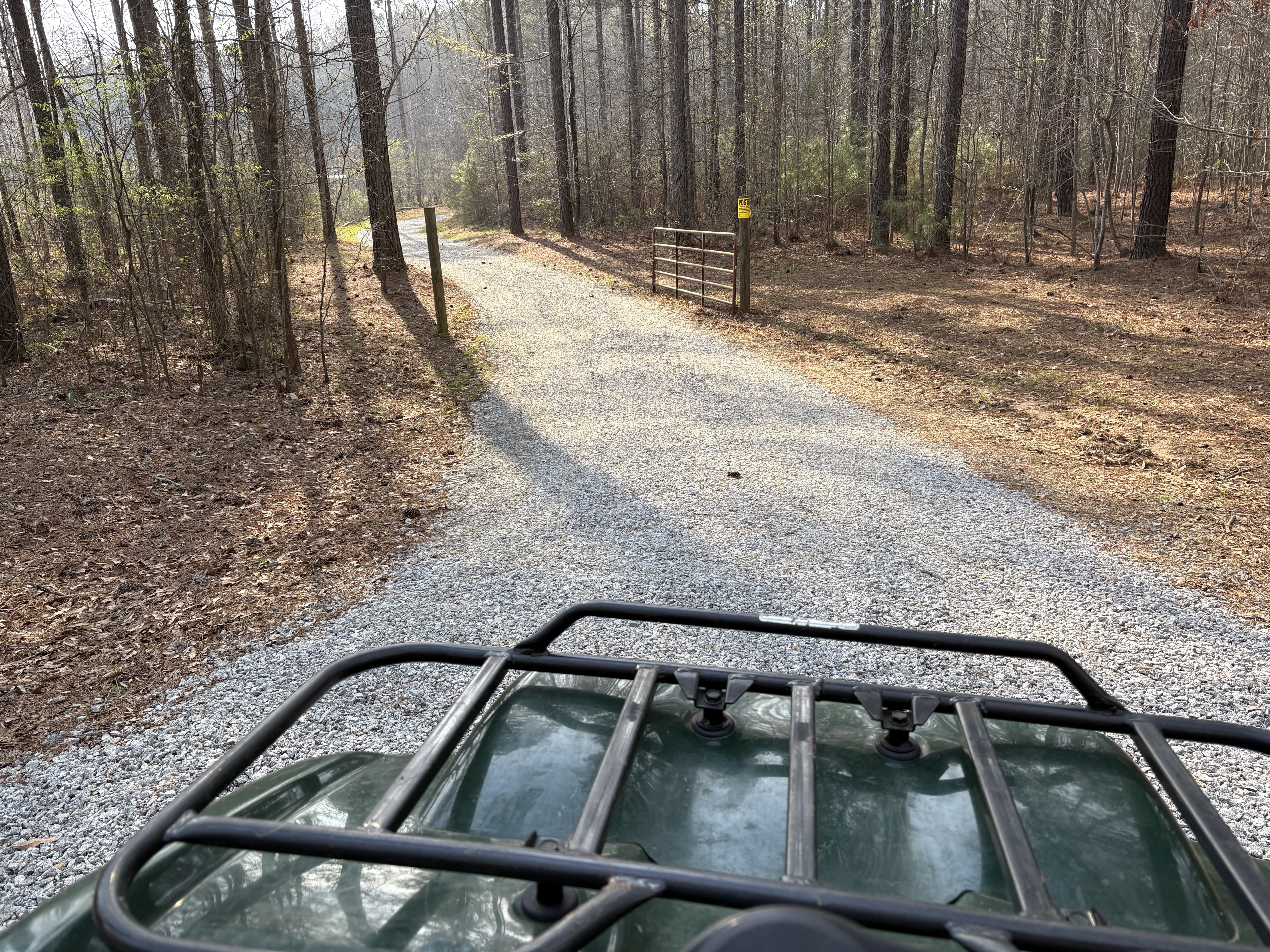 Finished land clearing job with mulched ground cover and clean edges