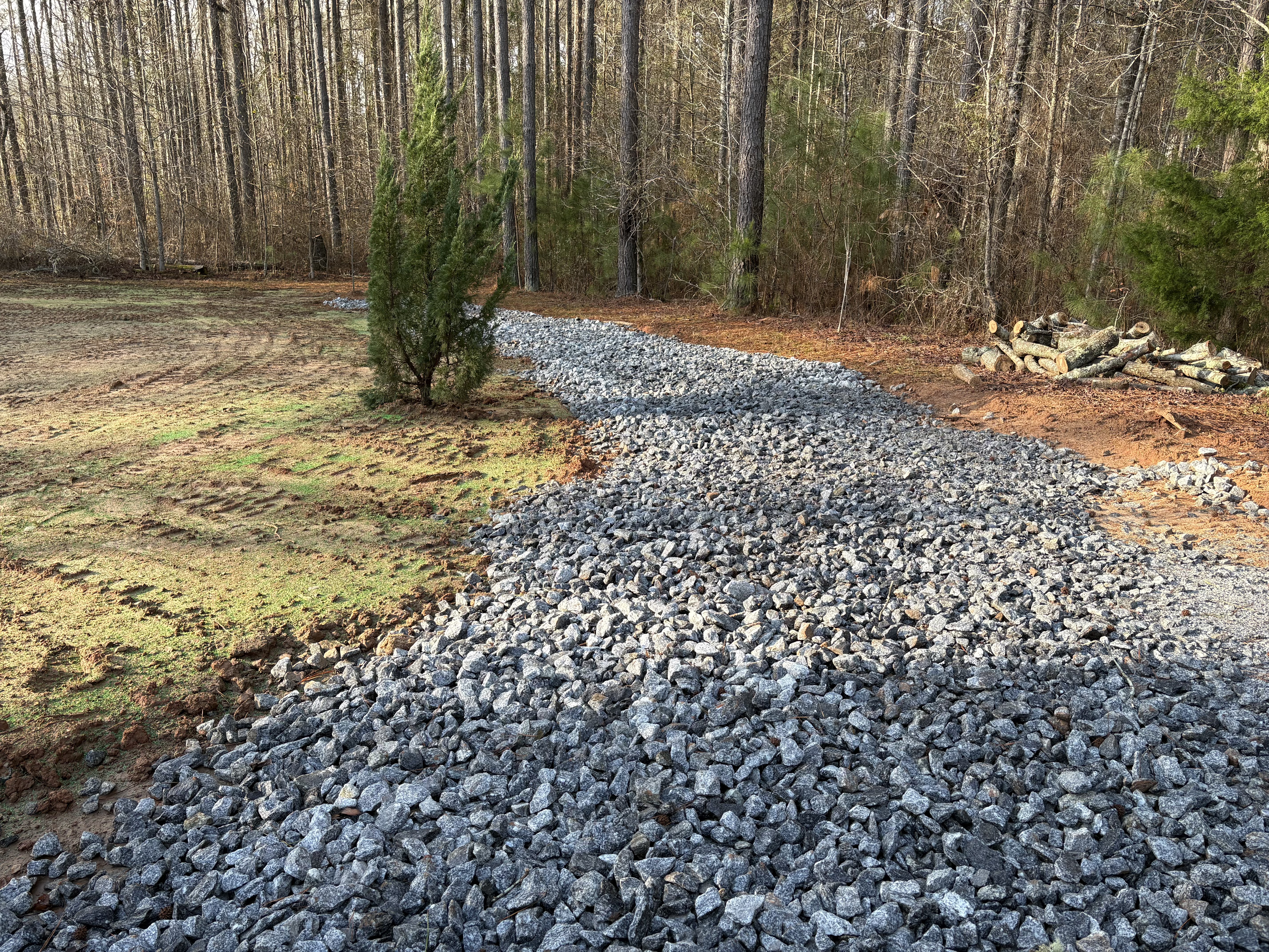 Wooded acreage cleared of brush leaving mature trees standing